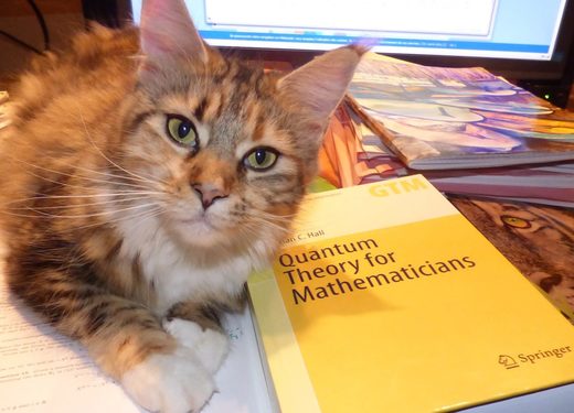 Click to enlarge Pikabu, Quantum Theory for Mathematicians