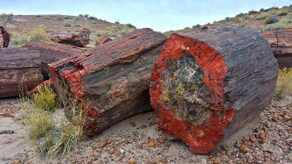 Click to enlarge Petrified Forest National Park