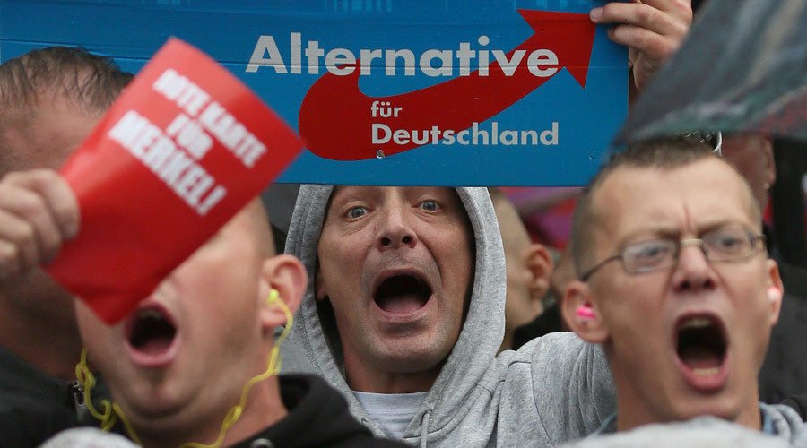 German AfD party supporters