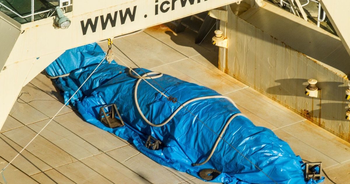 Click to enlarge A dead minke whale onboard a ship that was part of a Japanese whaling fleet in Antarctic waters earlier this year.