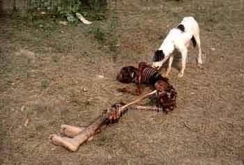 white phosphorous victim Syria