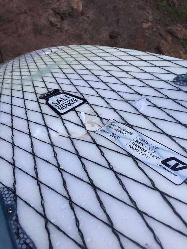 Click to enlarge A woman in Western Australia narrowly escaped a shark attack that left chunks in her surfboard, pictured