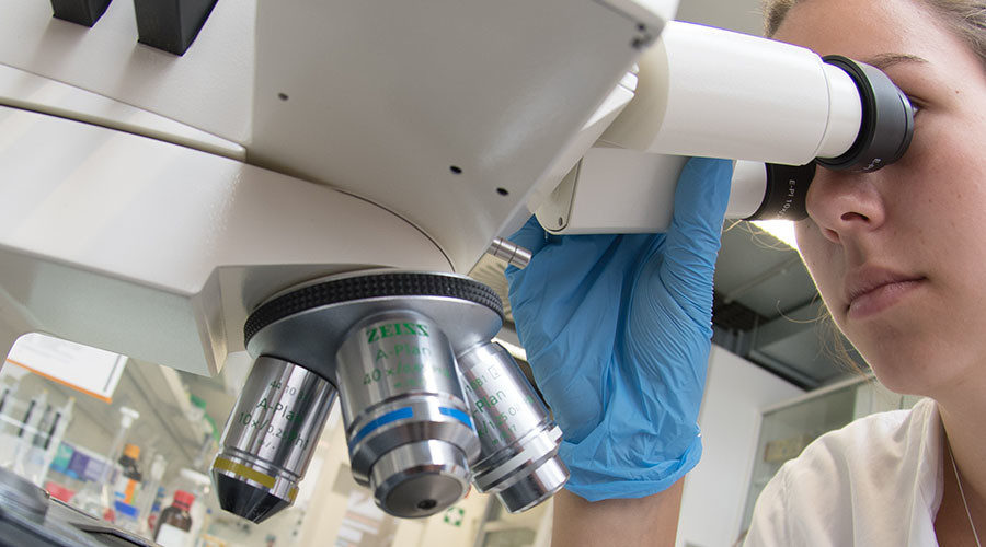 Chinese scientists edit human embryo