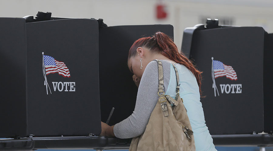 Click to enlarge US voter