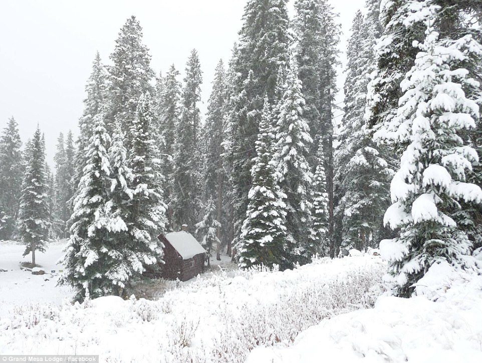 Snowfall has started accumulating in the mountains - pictured is the snowfall at Grand Mesa Lodge off of Interstate 70 in north west Colorado