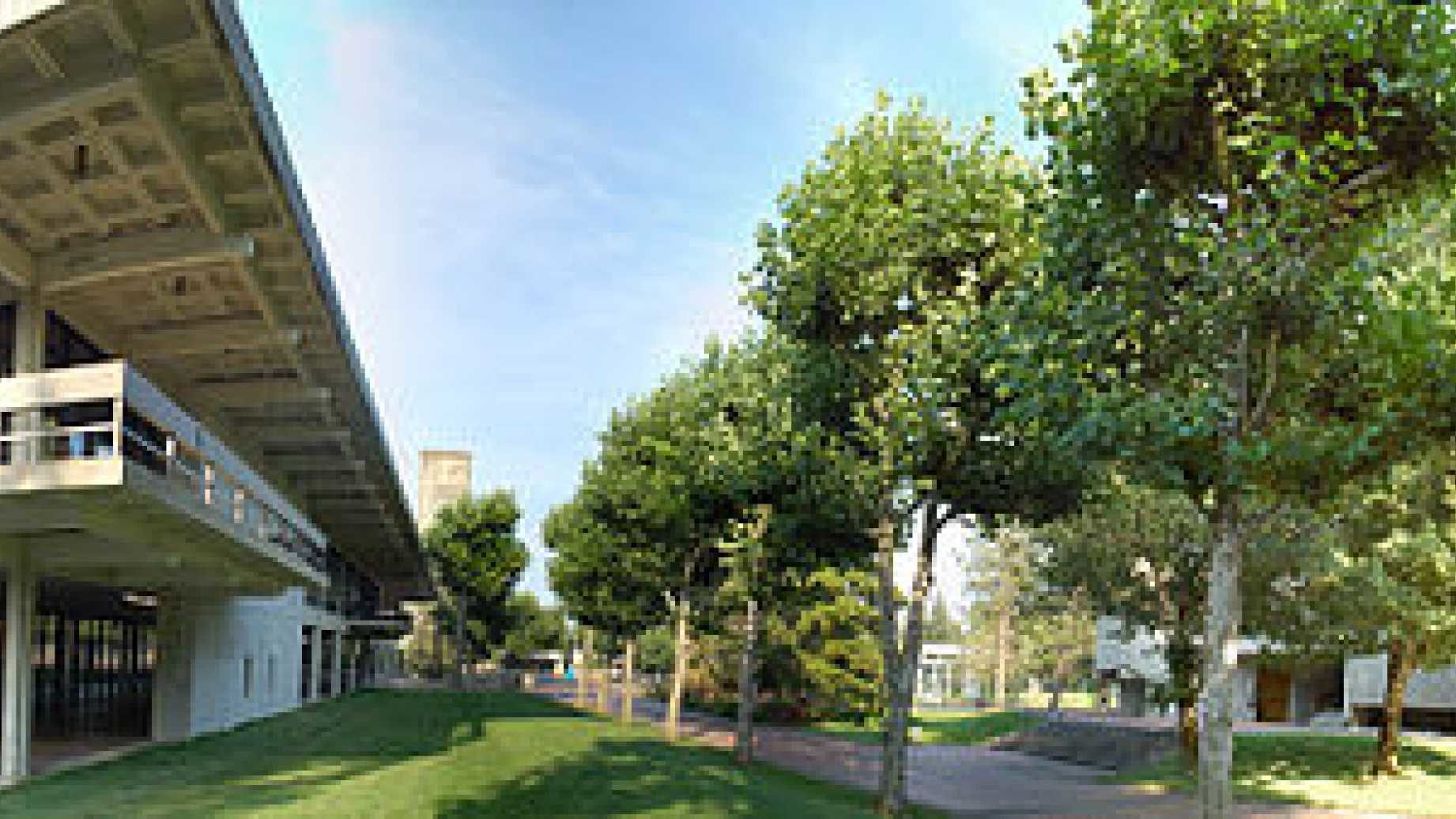 evergreen college