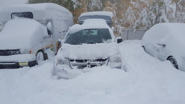Cypress Hills Provincial Park reported 35 centimetres of snow on the ground as of 3 p.m. CST. Monday. This photo was taken near Maple Creek, Sask