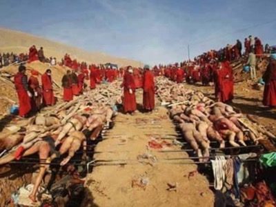 Click to enlarge buddhits rohingya propaganda