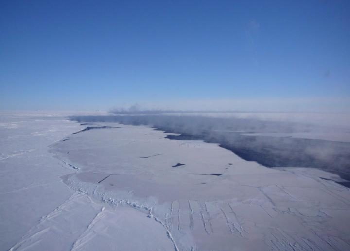 Weddell polynya