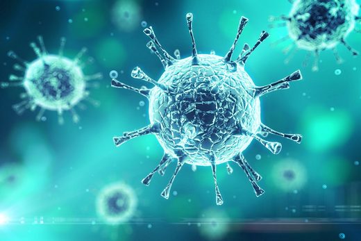 Click to enlarge viruses