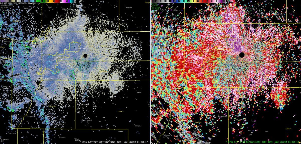 In this Oct. 3, 2017, radar images show a 70-mile-wide wave of butterflies drifting across the Denver metro area.