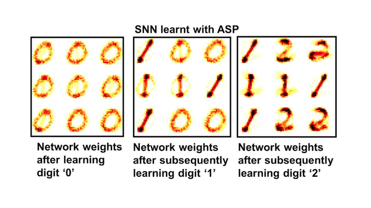 Synthetic crystal SNN mimics learning