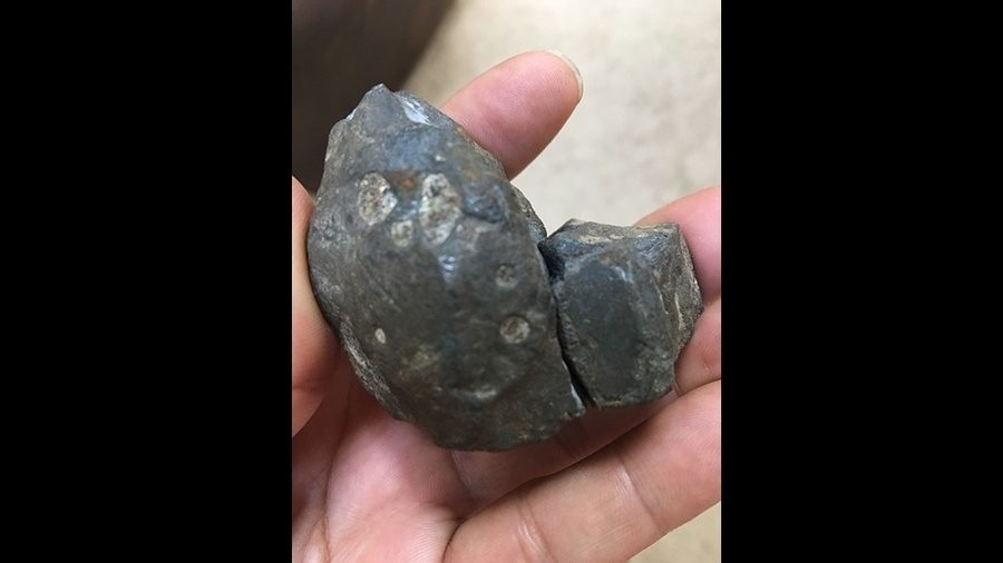 Meteorite