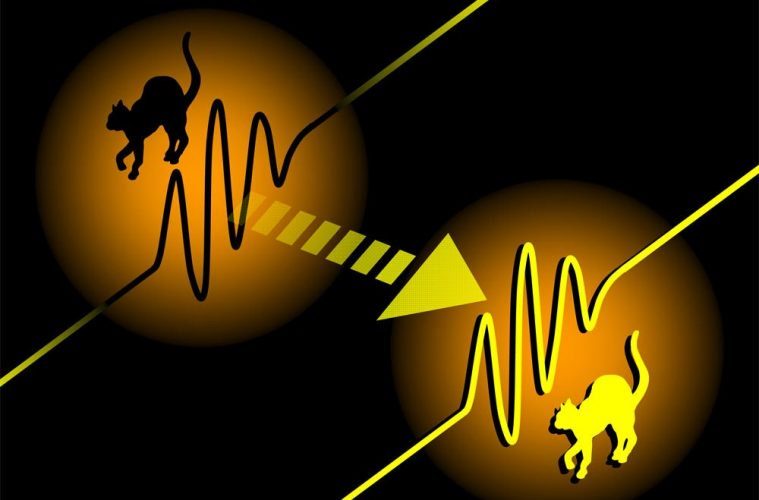 Click to enlarge teleportation graphic