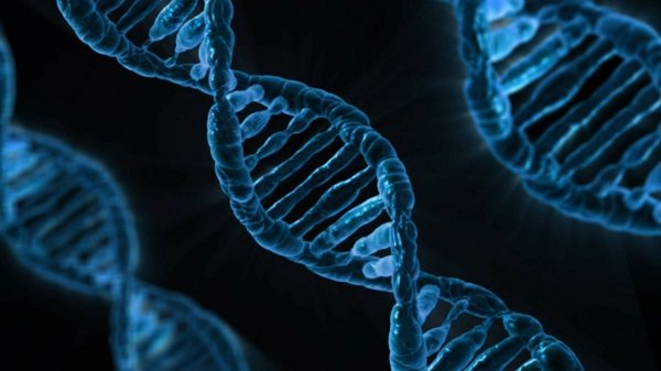 Gene therapy