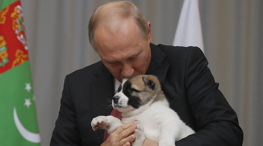 putin shephard dog