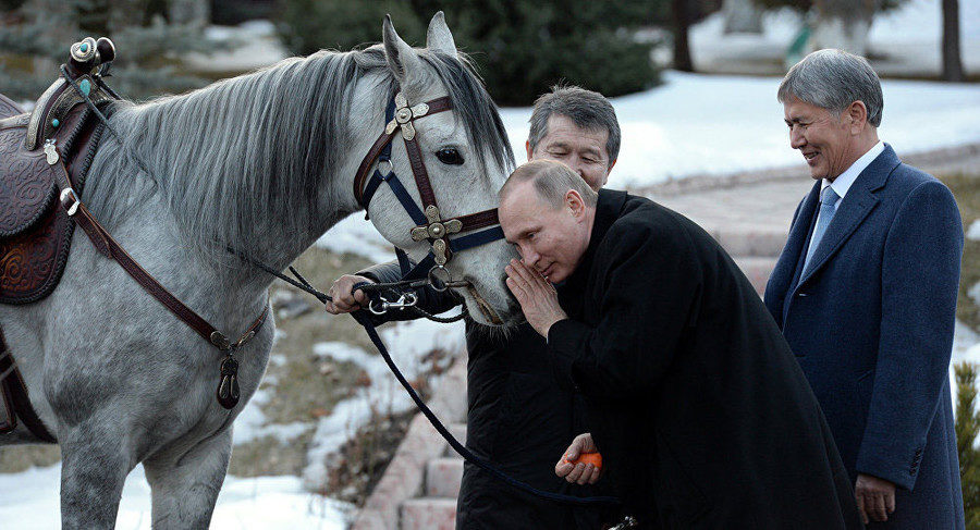Click to enlarge putin horse