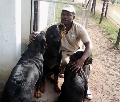 Collin Mthembu in better times with the three dogs who would end up killing his brother Khulekani.