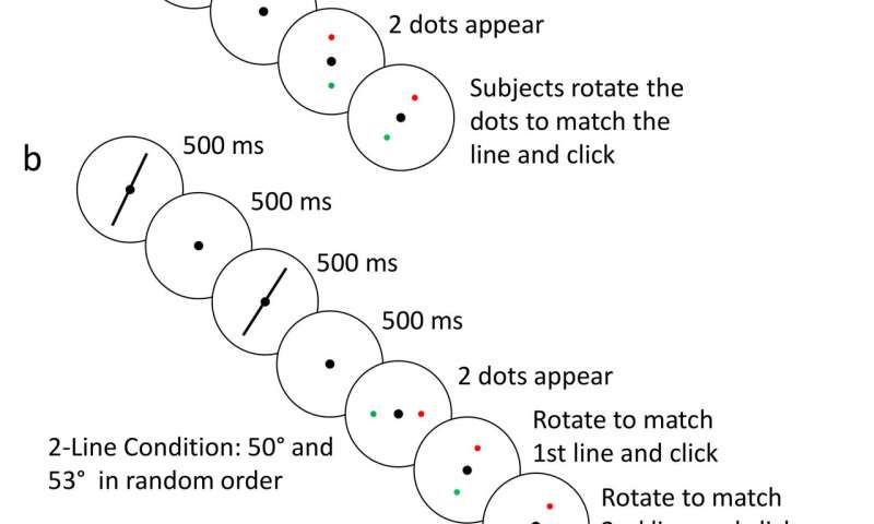Visual depiction brain encoding