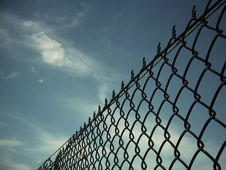 fence