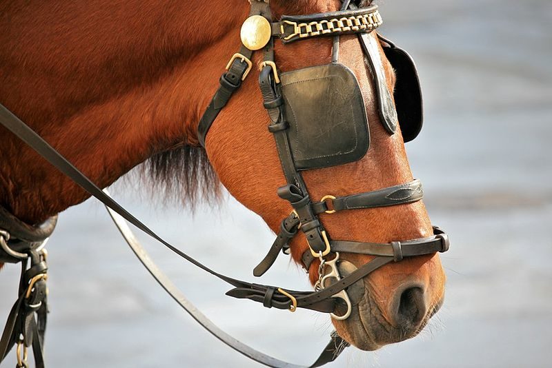 blinders