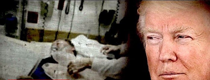 Trump/patient