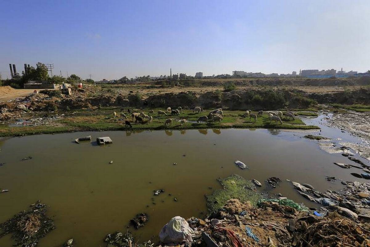 Sewage in Gaza. It poisons the sea but Gazans have no choice but to go down to the sea.
