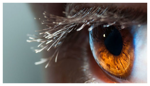 Click to enlarge Eye Ecosystem