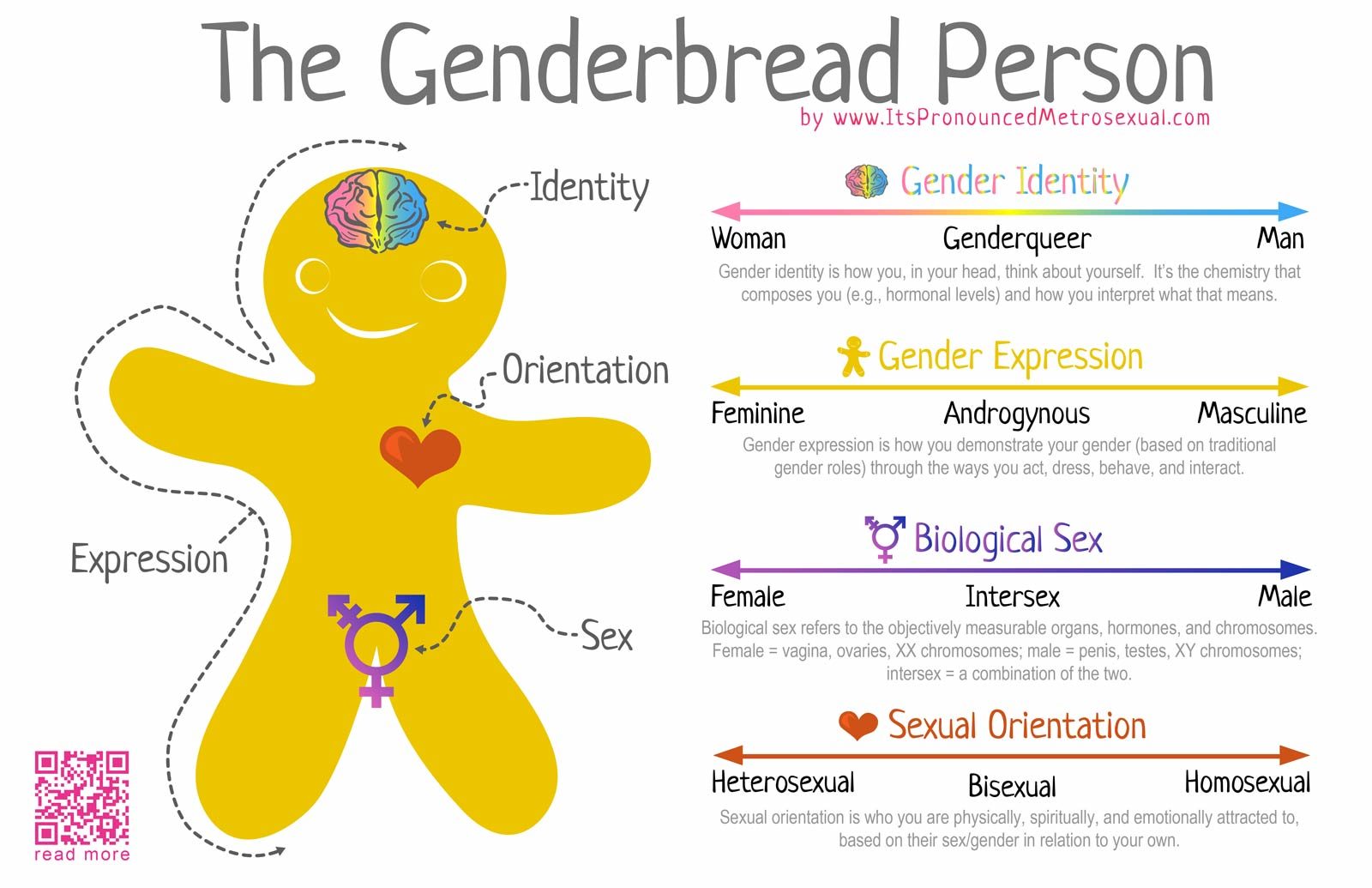 genderbread person