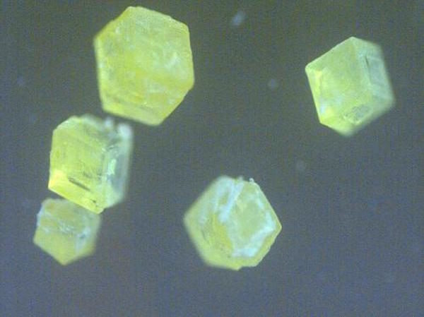 luminescent perovskite