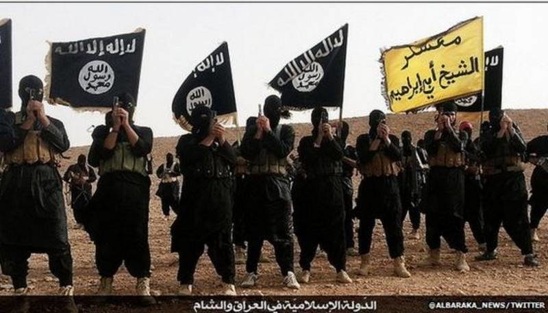 sharia law al mayadin