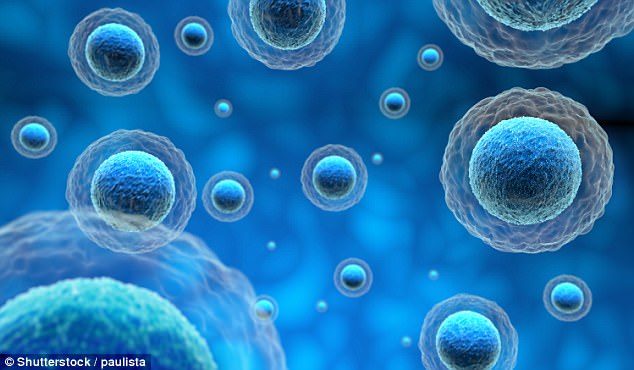 contaminated cells