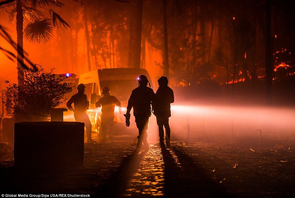 portugal wildfire