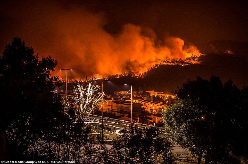 portugal wildfire