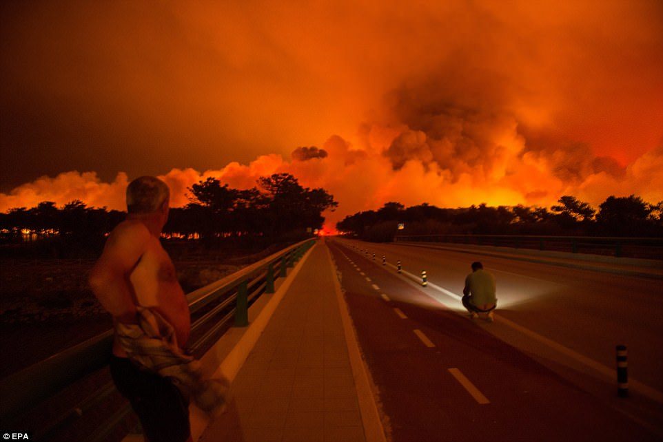 Click to enlarge portugal wildfire
