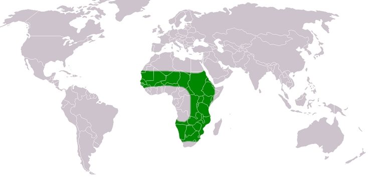 Red-billed Quelea distribution map