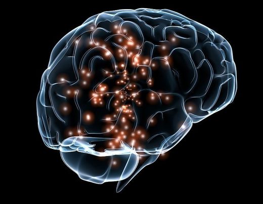 Clostridia connection to mental health and autism