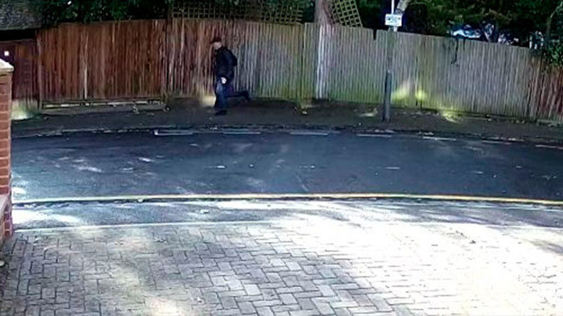 serial sex attacker London