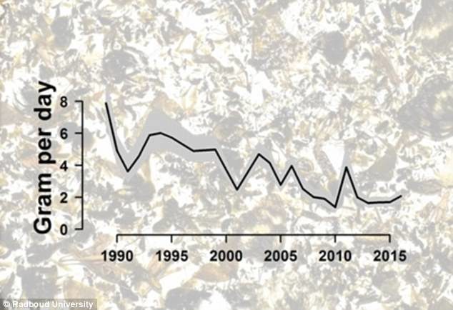 Shown here is the average weight of trapped insects per day against the years 1989 until 2016. After 27 years, the total average weight has been declined by more than 75 per cent
