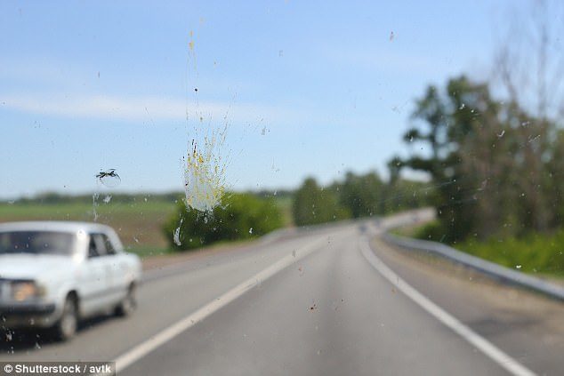 Click to enlarge Drivers have been reporting fewer flies, gnats, wasps and moths than usual on their vehicles