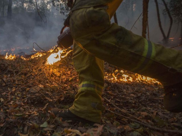 Click to enlarge arson wildfires