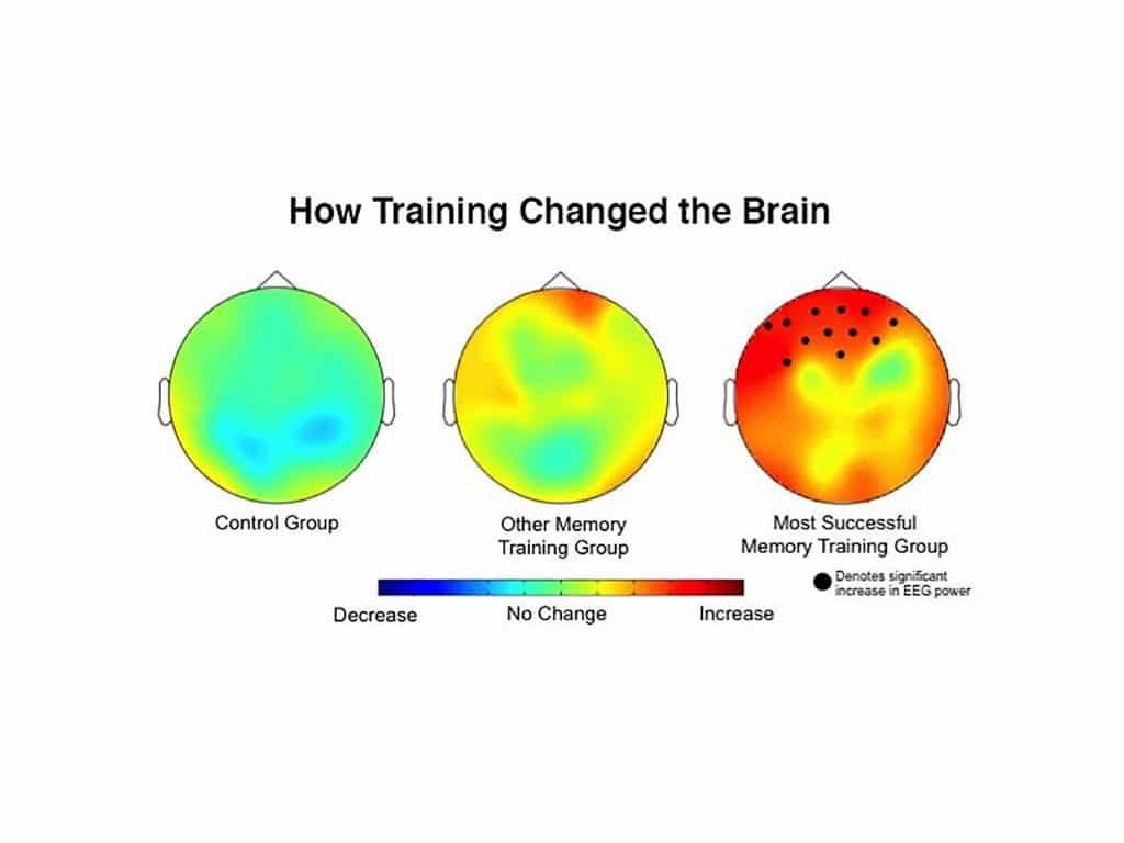 brain training