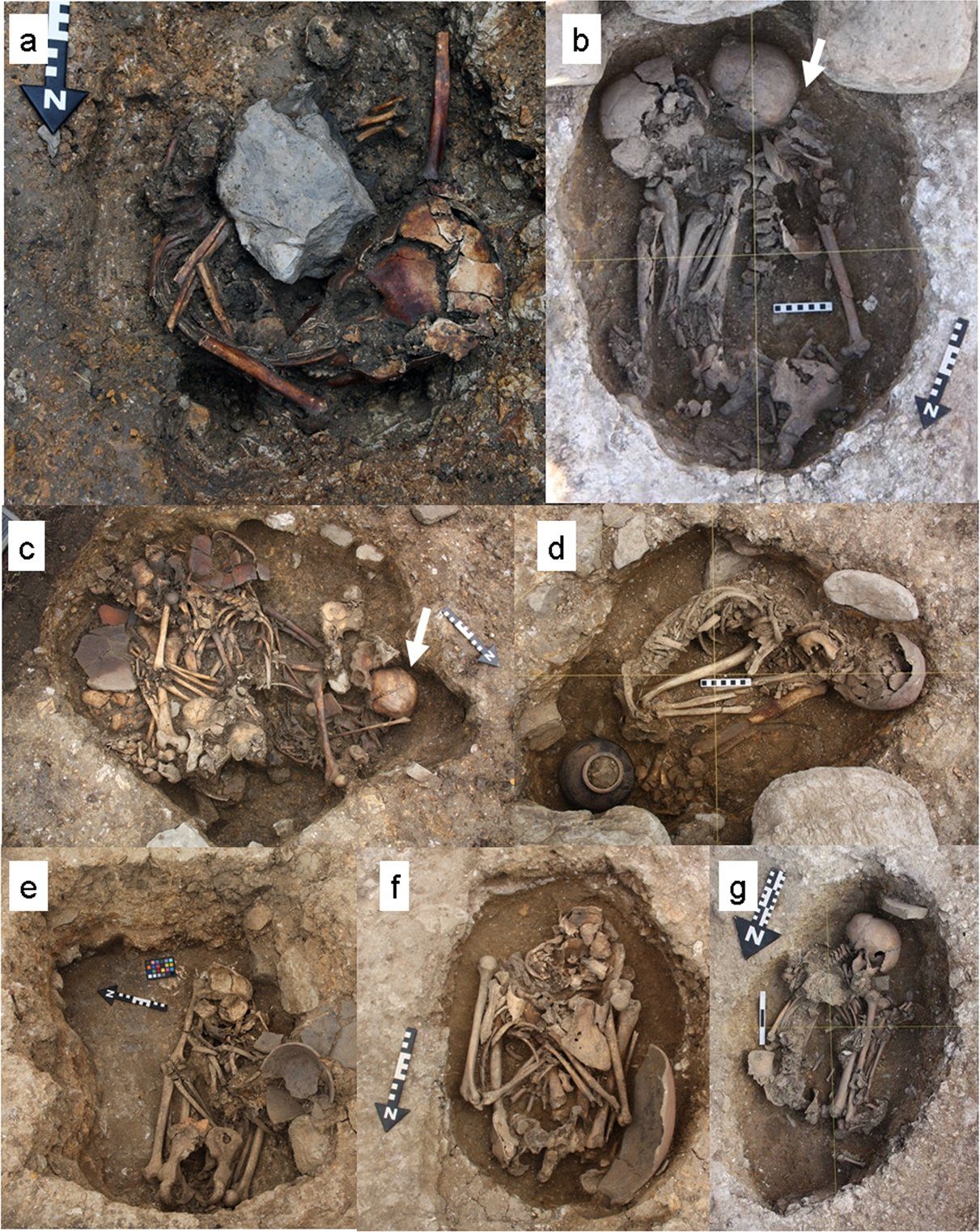 peruvian remains