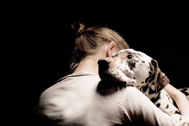 Click to enlarge Dogs emotions