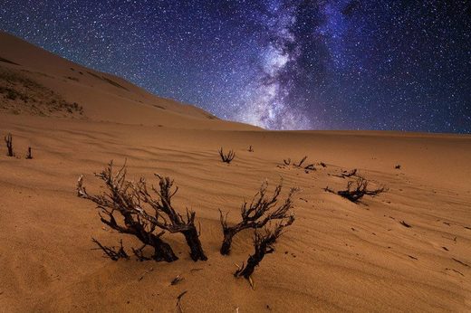 Recent study suggests drought and cold climate prompted ancient humans' move out of Africa