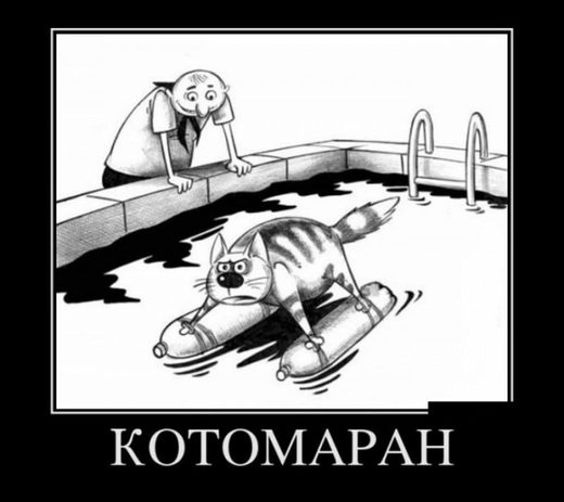 Click to enlarge Kotomaran
