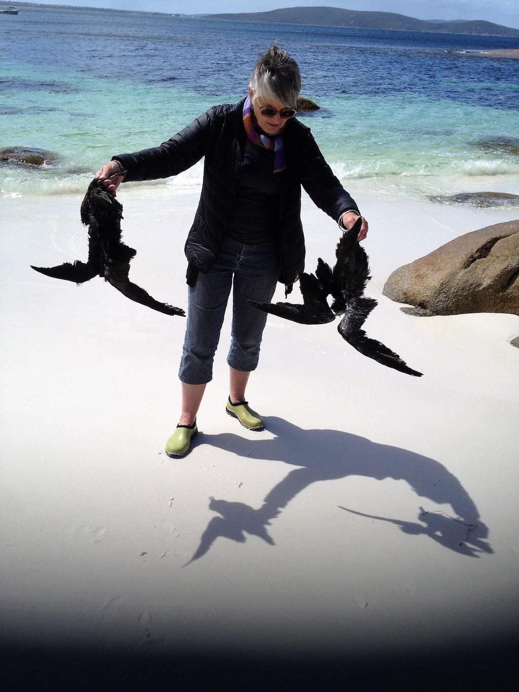 A CCWA volunteer with dead seabirds near Albany.