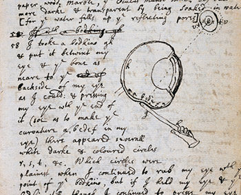 Newton experiment