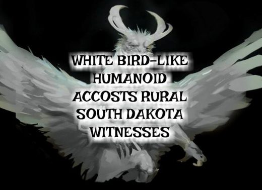 white humanoid bird