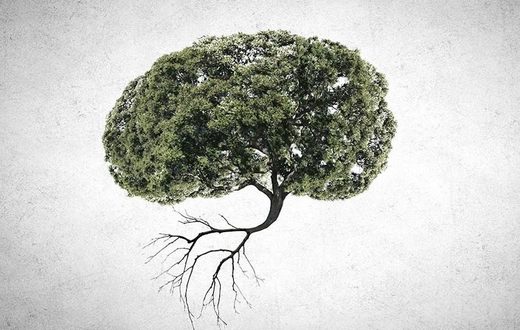 Nature on the brain